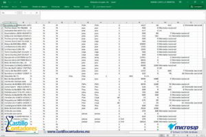 manual microsip. abrir texto en excel.