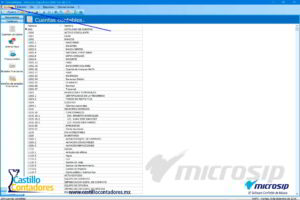 como cargar mi catálogo de cuentas en microsip. 4