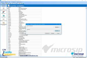 carga de catálogo de cuentas en sistema microsip. 6